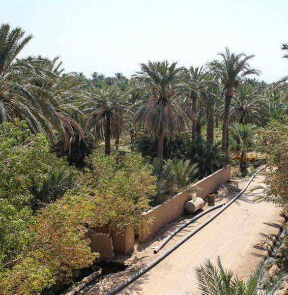 Bafq, la terra delle genti affettuose e la porta del deserto